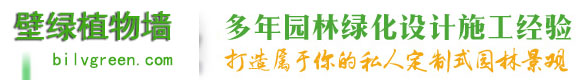 上海植物墙-上海垂直绿化-上海立体绿化公司——壁绿植物墙工程有限公司